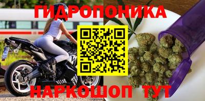 индика Волжский