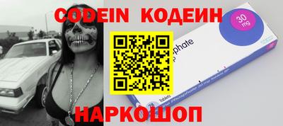 индика Волжский