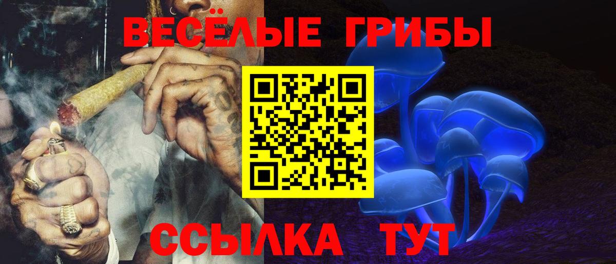 Псилоцибиновые грибы мицелий  Псилоцибиновые грибы Cubensis  хочу наркоту  Вход с VPN  Сатка 